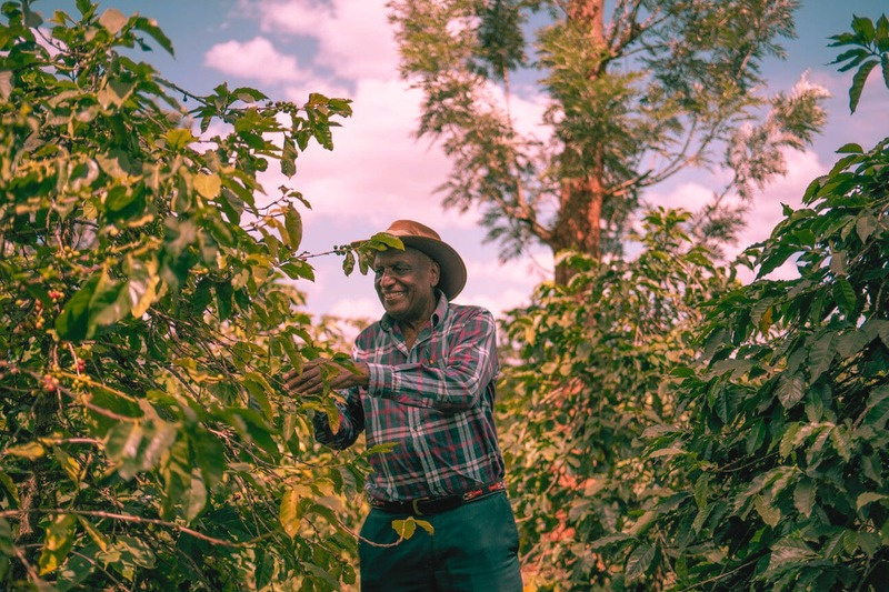 Guka's Coffee — grown in Kenya